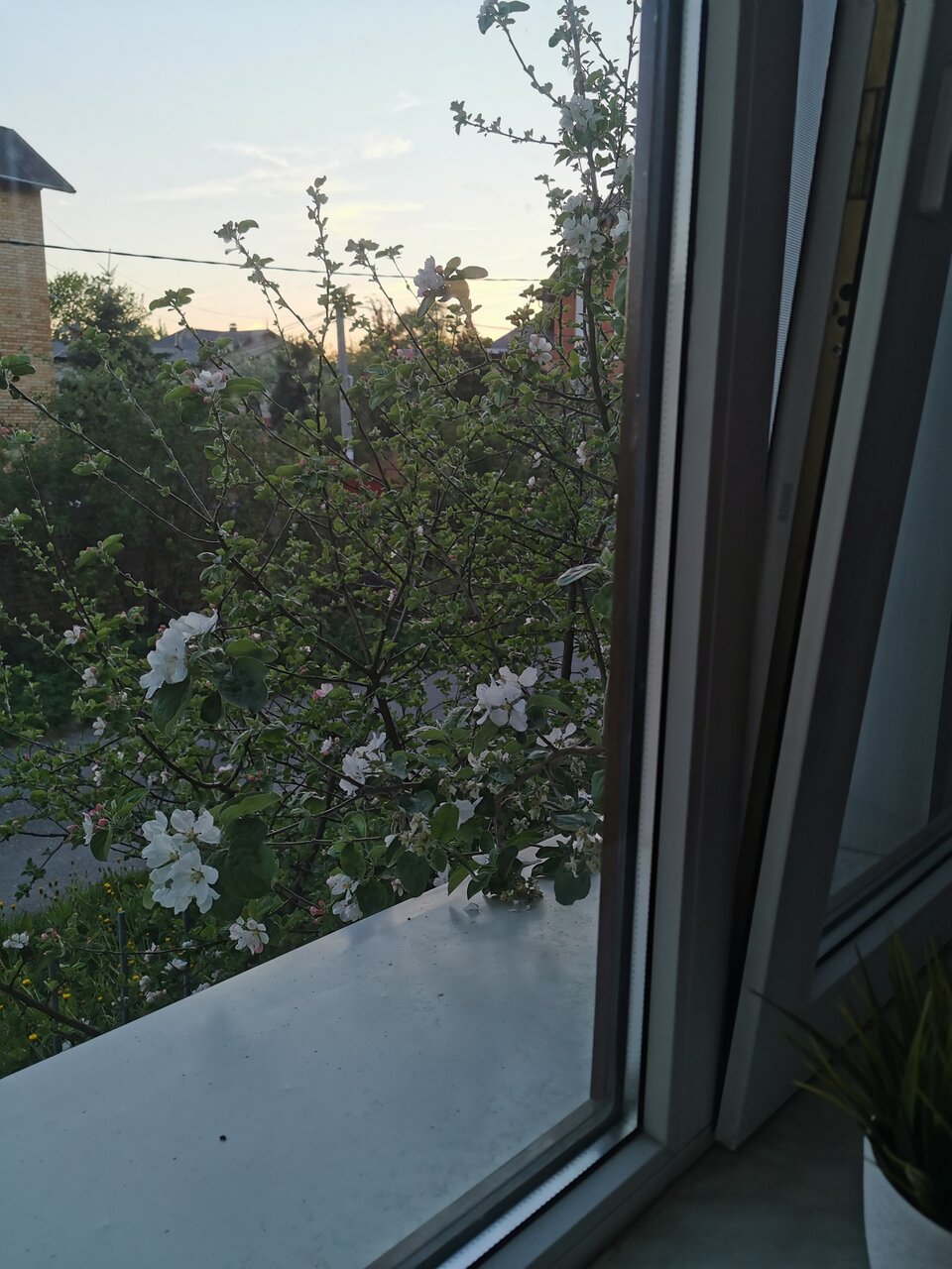 Гостиница Орловский дом Великий Новгород-252