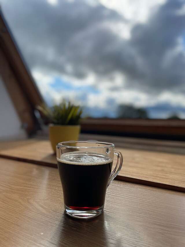 Гостиница Орловский дом Великий Новгород-233