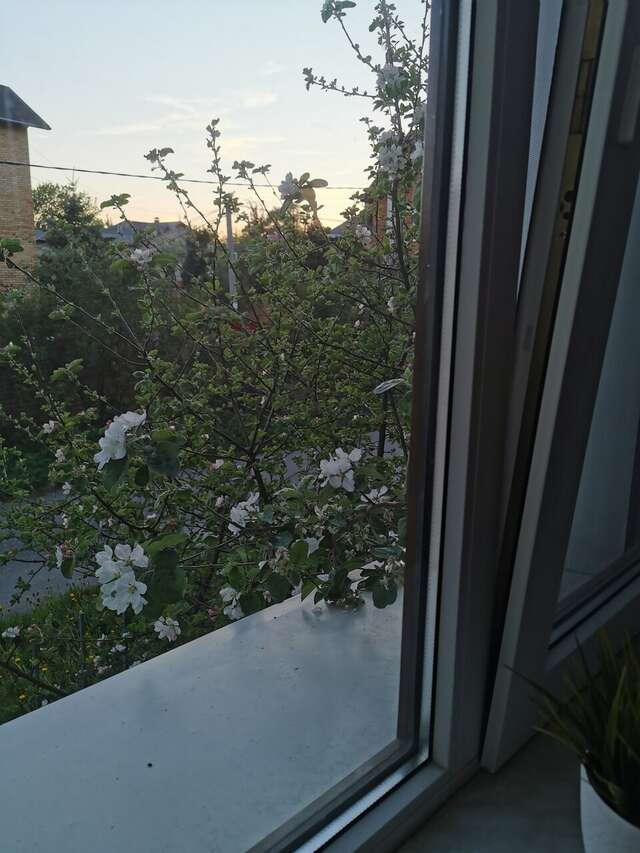 Гостиница Орловский дом Великий Новгород-251